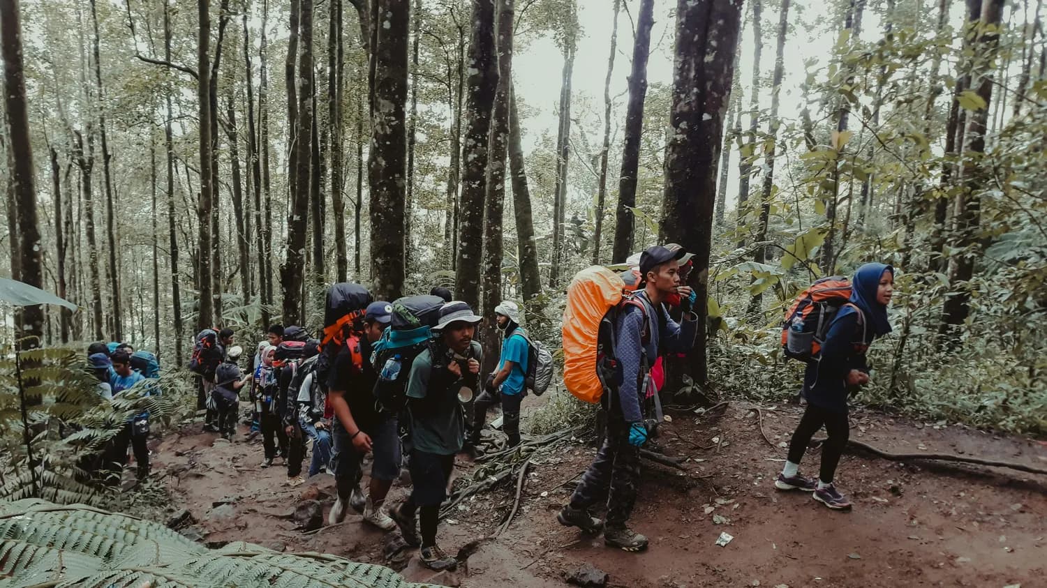基诺山雨林徒步前的身体准备指南