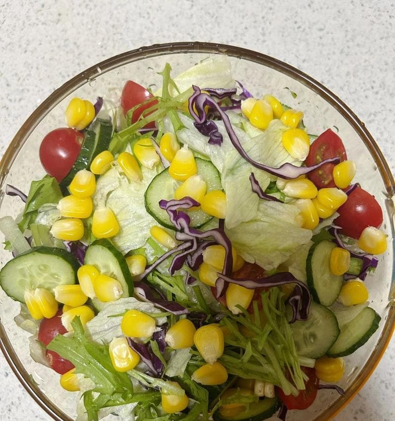 健康沙拉新享受（以玉米生菜蔬菜沙拉为例，从制作到食用全解析）