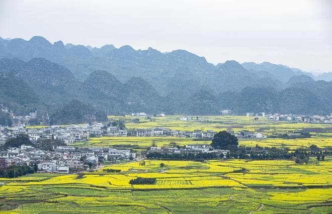 贵州八处绝美花海，这个春天不容错过