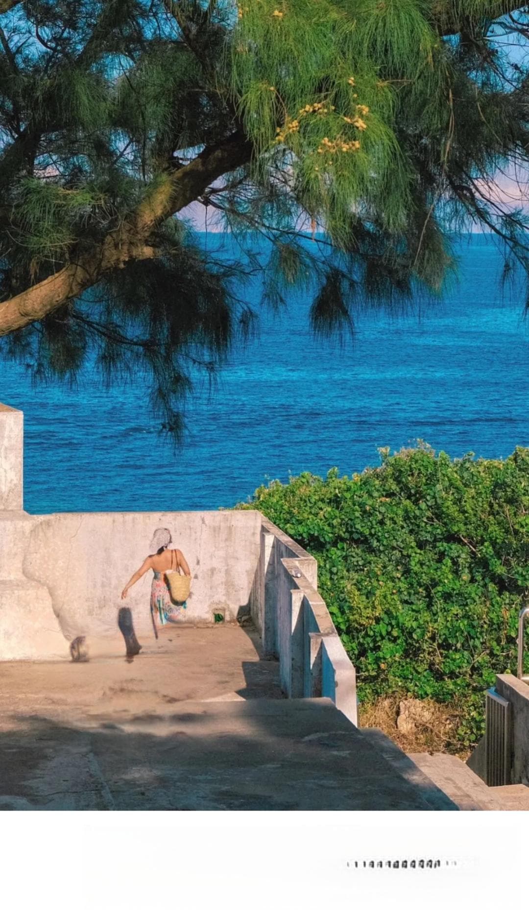 香港10条小众海岛walk路线，美丽又避世！皮划艇、徒步、看野猪玩法太多了！