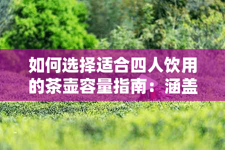 如何选择适合四人饮用的茶壶容量指南：涵盖不同茶类与冲泡需求