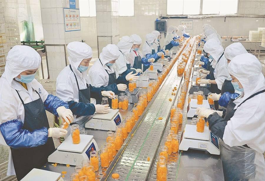 如何高效杀灭食品生产过程中的大肠杆菌