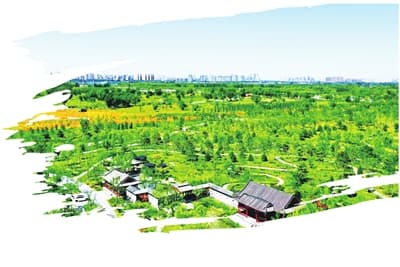 能源绿色低碳转型有了“新样板”