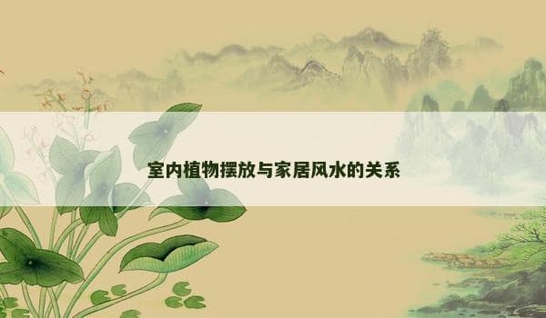 室内植物摆放与家居风水的关系