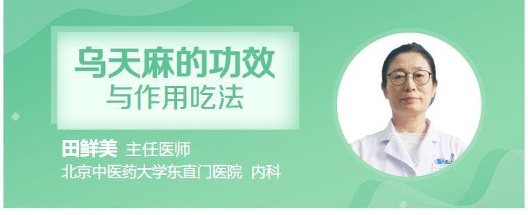 乌天麻的功效与作用吃法