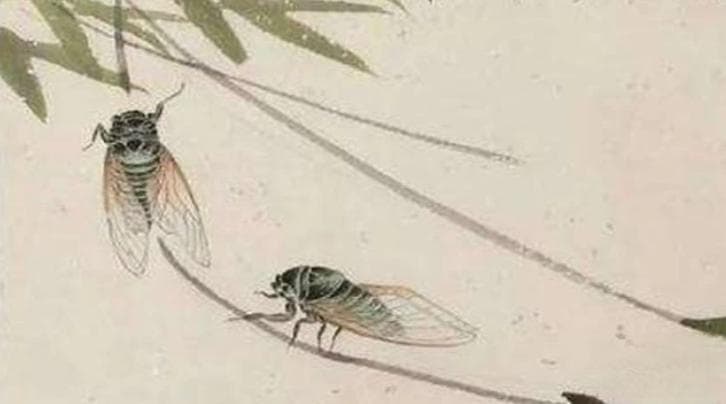 《蝉》：大唐的“咏蝉三绝”，寄托了虞世南的情感与志趣
