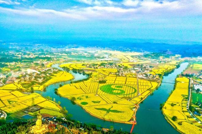 重庆人的春天，没它不完整！绝美油菜花打卡地图来啦