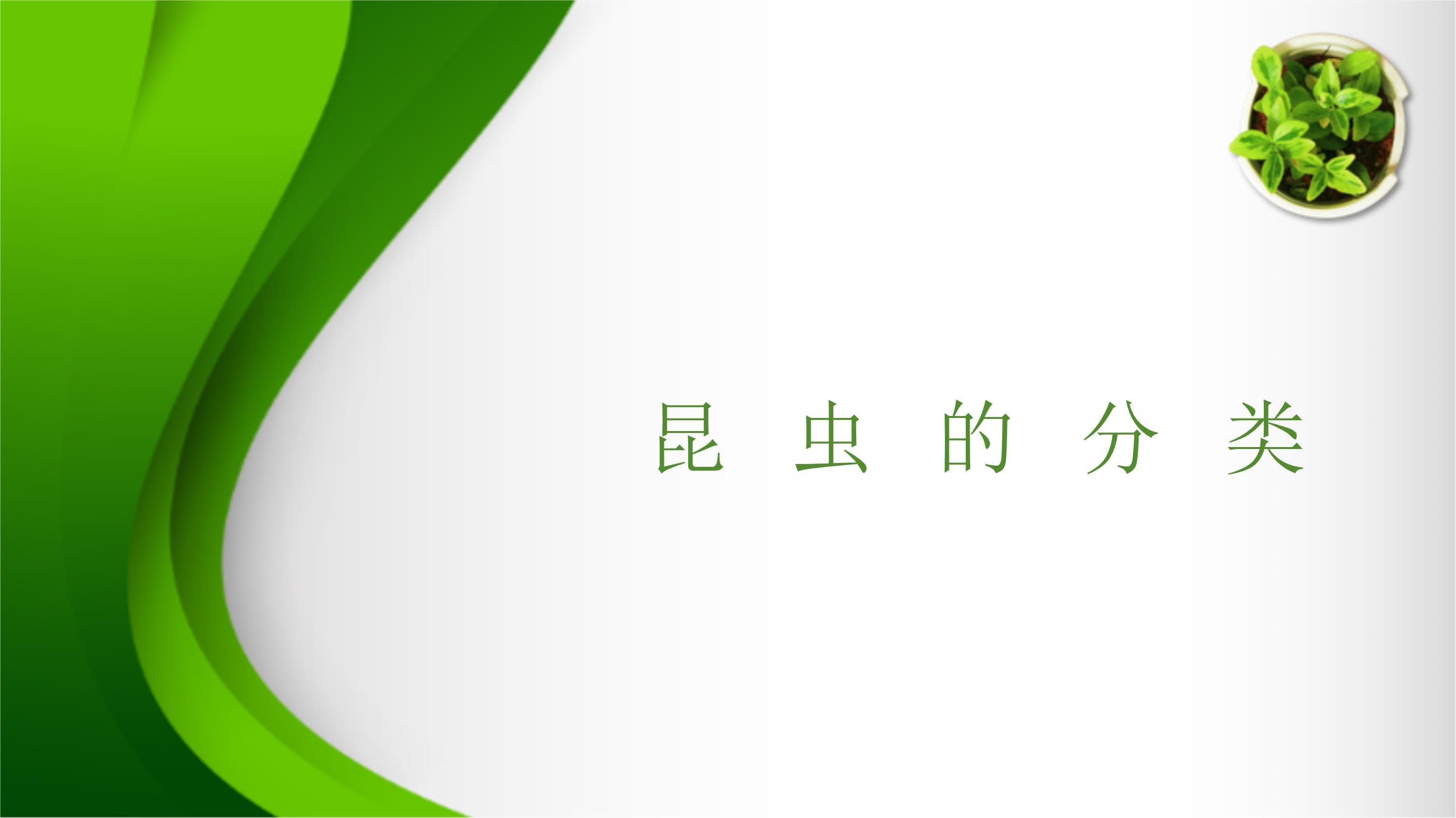 昆虫的基本知识：分类阶元与命名规则