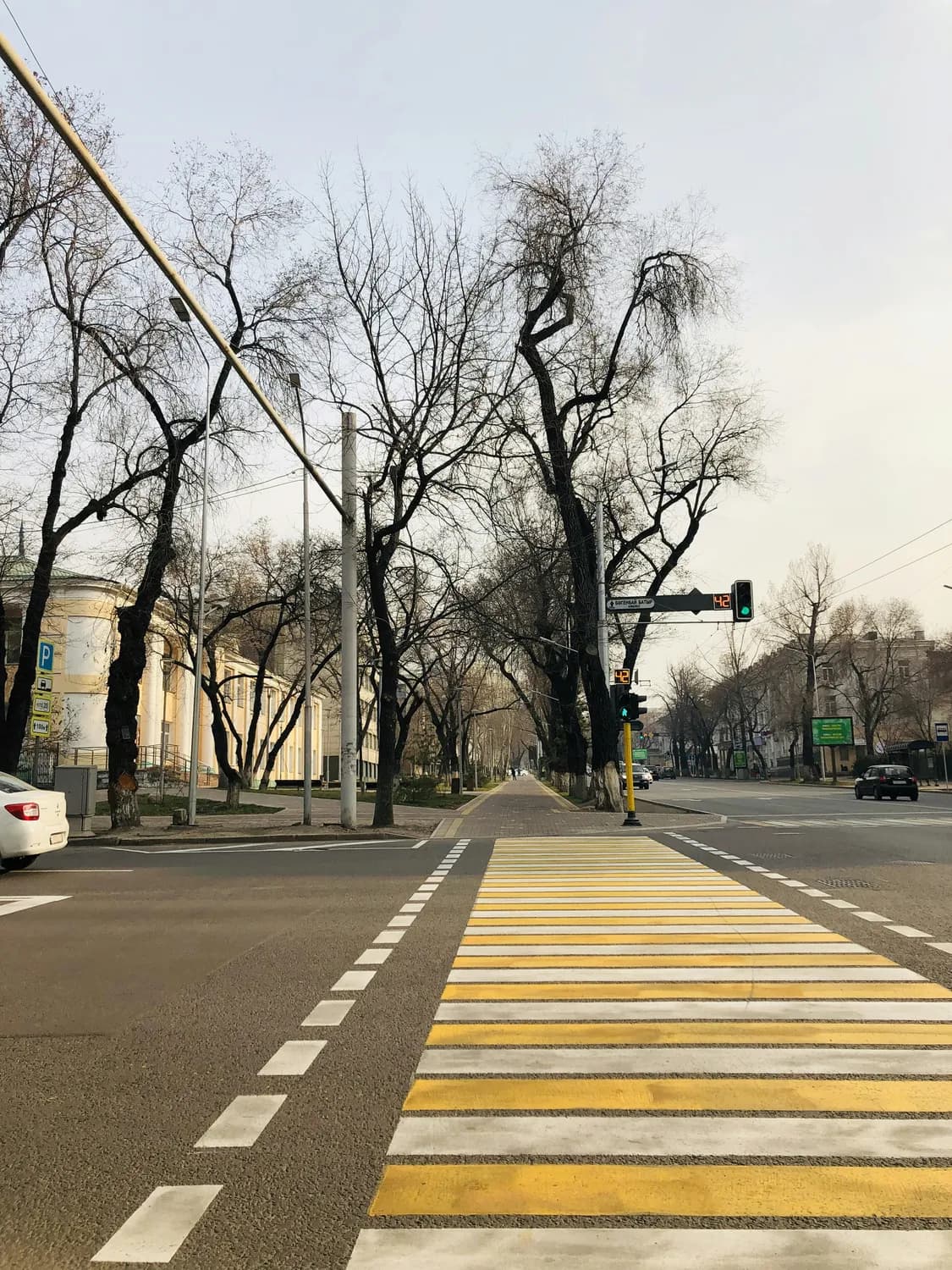 违规扣3分罚款200元，停车让行线这样保障安全
