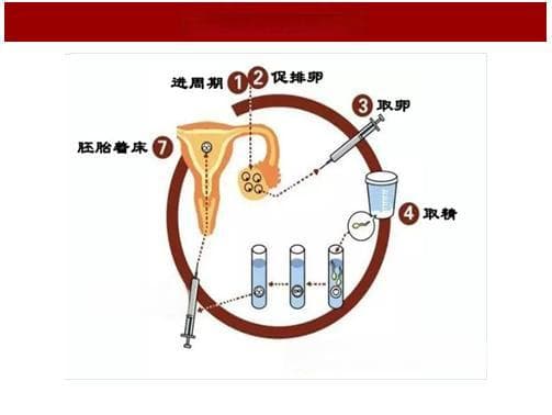 试管备孕遇上感冒怎么办？