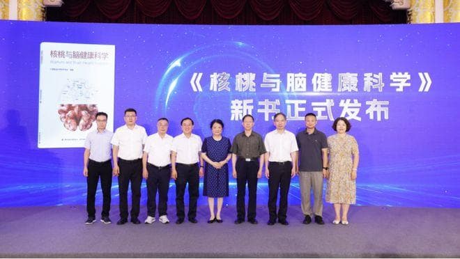 六个核桃改善记忆力被证实 七大科学原理揭秘核桃与脑健康关系