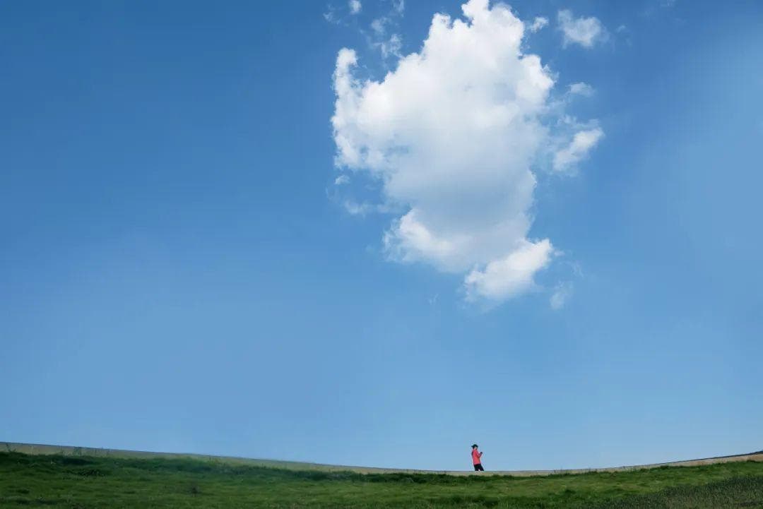 藏不住了！广州也有自己的「大草原」，像是误入童话世界