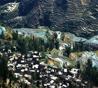 大美云南：红河元阳梯田，一道最亮丽的风景线