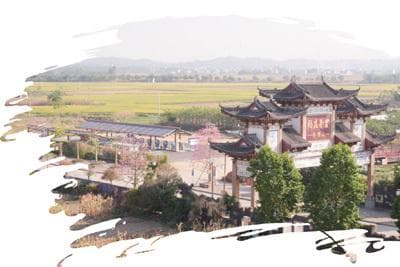 广西建成3100个电气化村，推动农村绿色发展