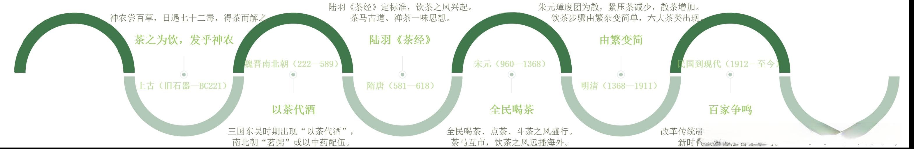 茶的前世今生：一片叶子的传奇之旅