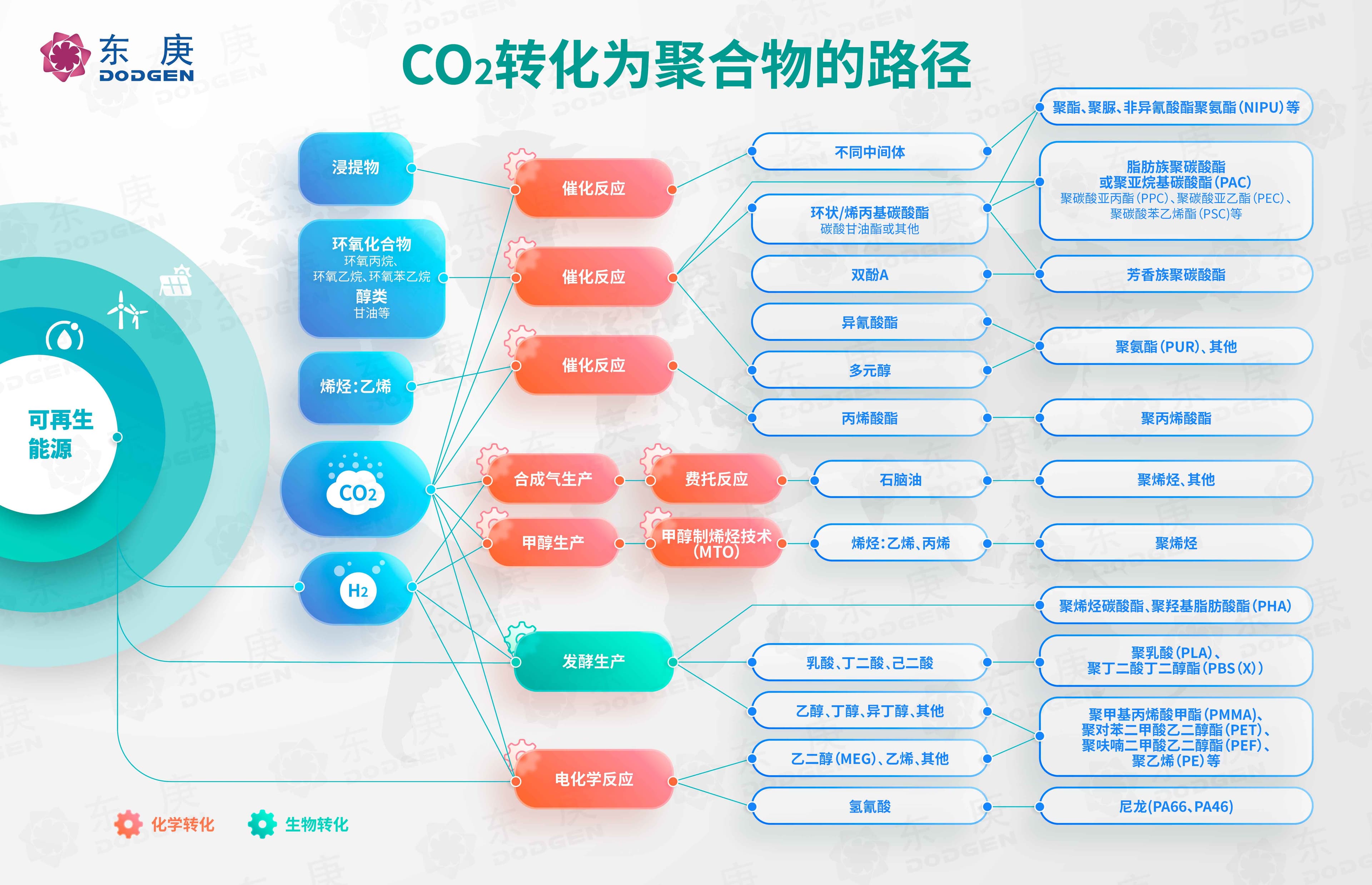 二氧化碳转化制聚合物：技术路线、市场前景与挑战