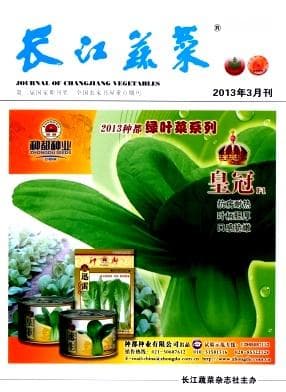 丽水河谷平原大棚早熟蔓生菜豆高效栽培技术