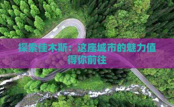探索佳木斯：这座城市的魅力值得你前往