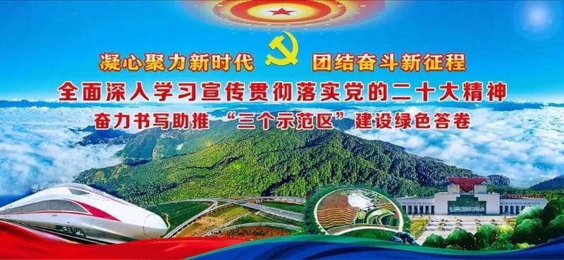 绿美黄连山植物篇丨植物界的活化石——绿春苏铁