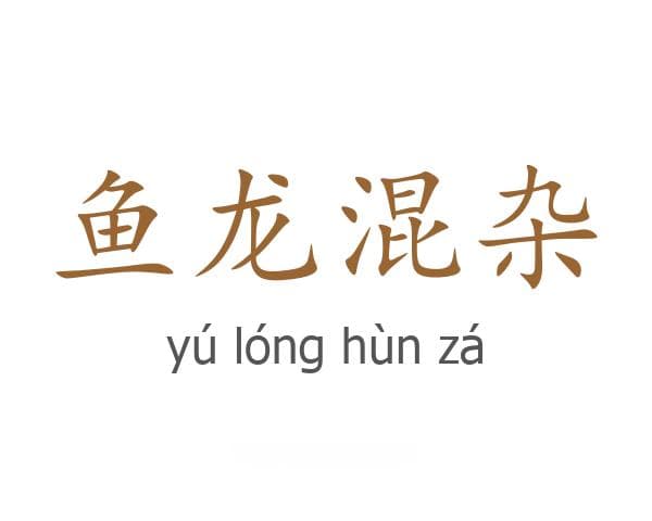 鱼龙混杂的成语接龙