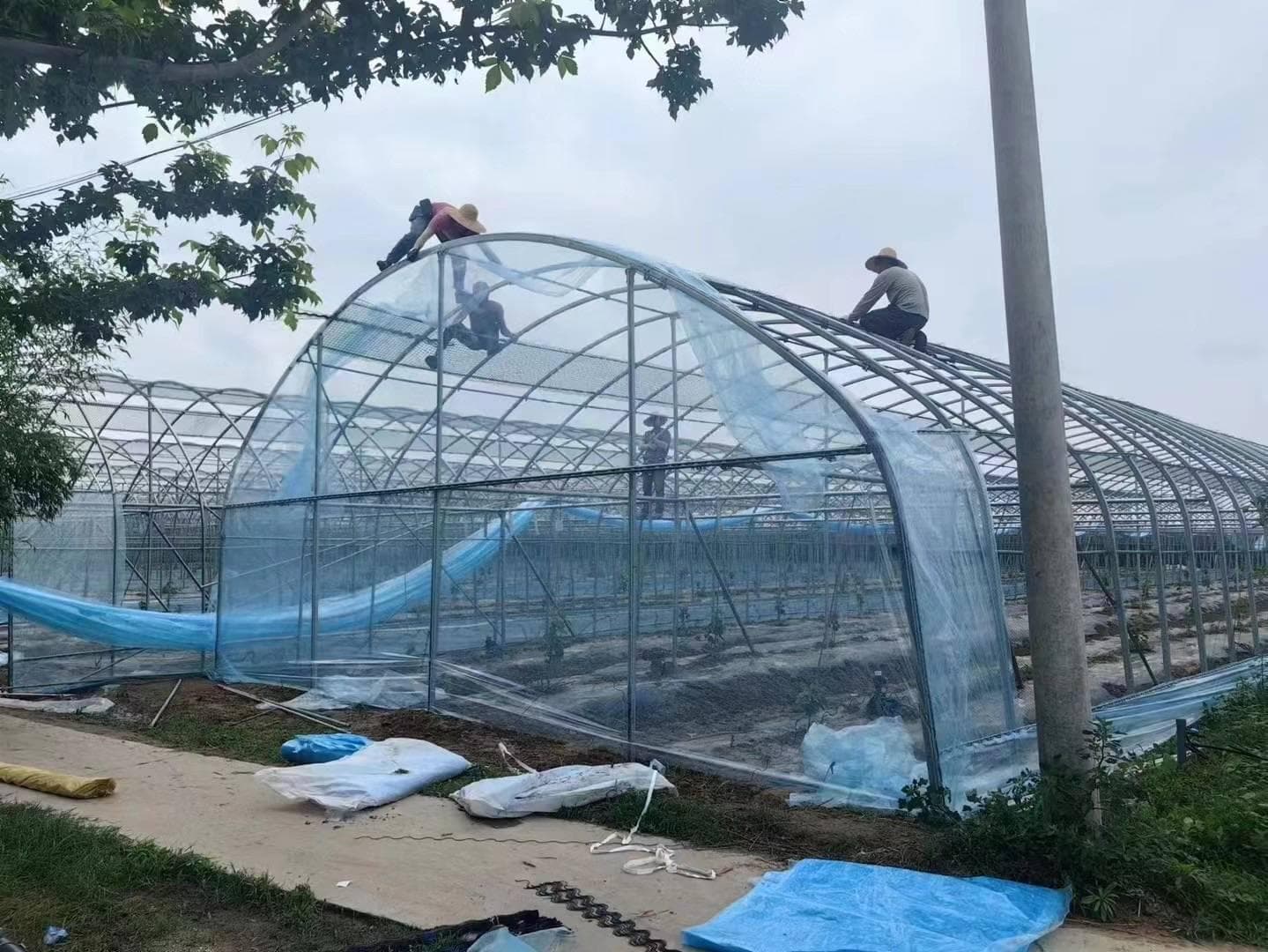 水晶膜：透明美丽的环保选择