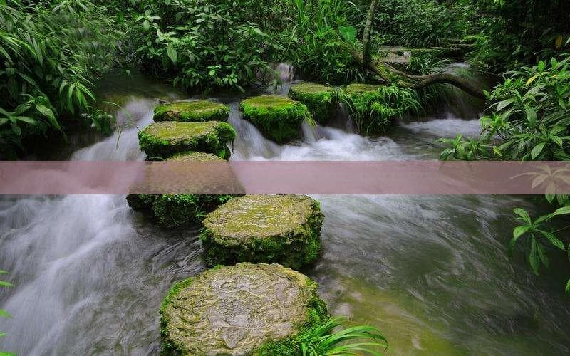 威海至厦门旅行攻略：全面解析路线、交通方式及旅行建议