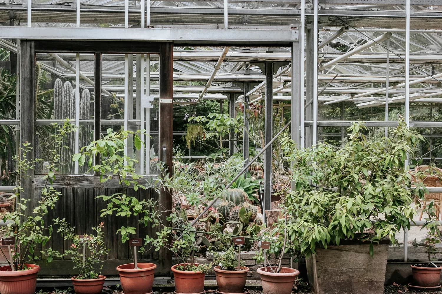 打造花园式工厂，提升员工幸福感