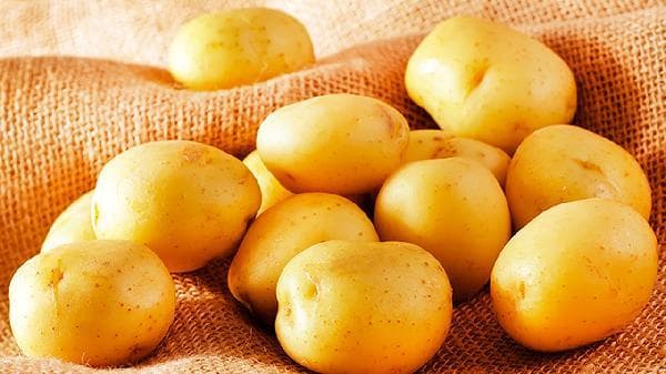 什么是高蛋白食物？分类、益处与食用指南