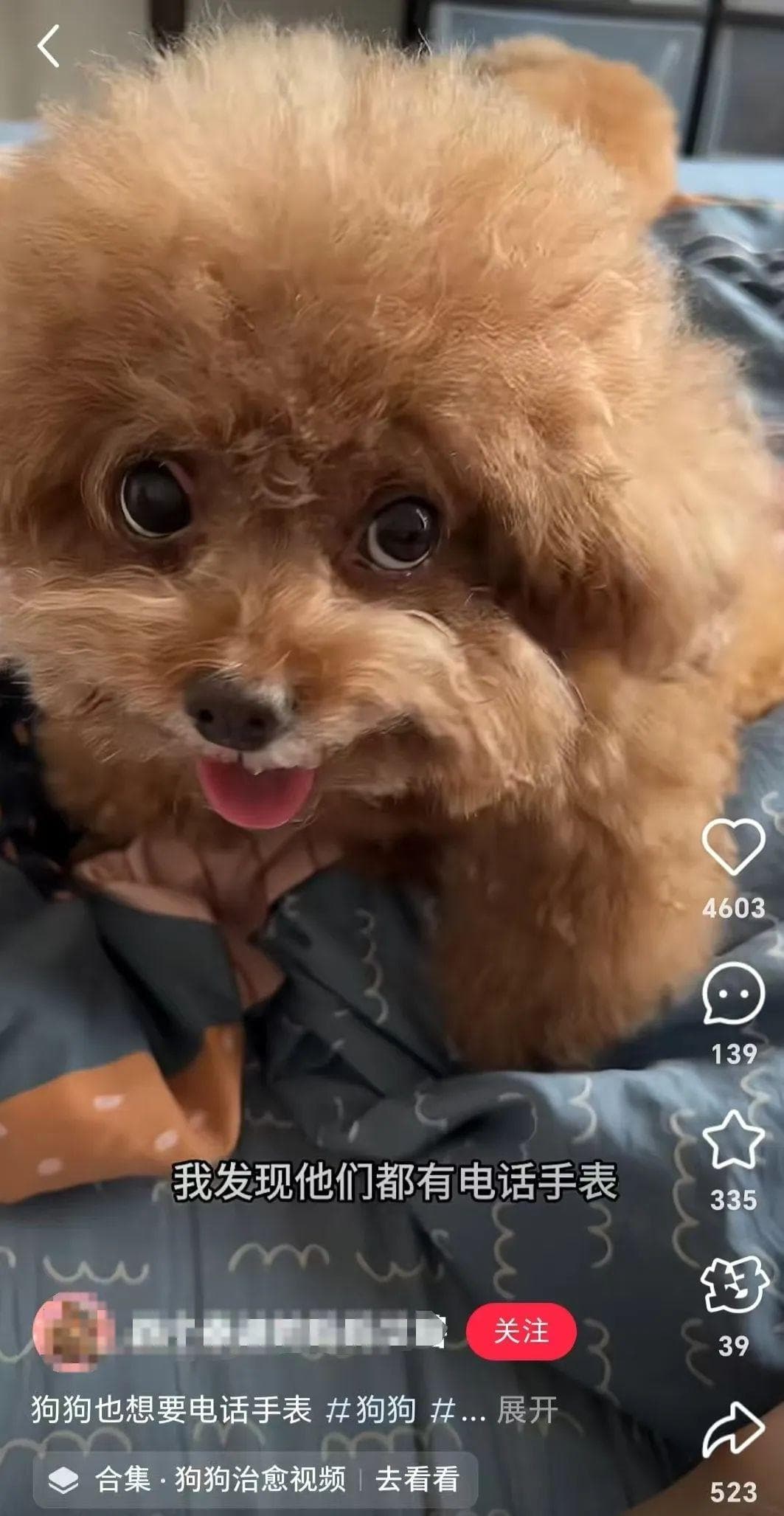 狗狗交朋友，已经用上小天才手表了