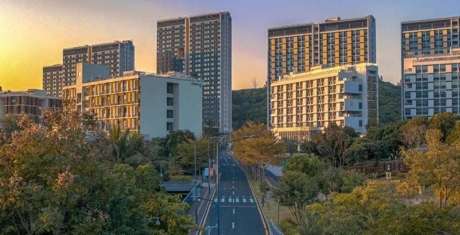 港中深和南科大，升学/就业大比拼，谁更强？