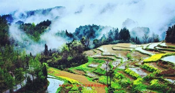 张家界旅游必看：春秋季节赏奇峰，夏季避暑冬季赏雪