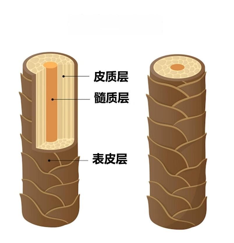 3 类人烫发一定要慎重，不是因为伤发质和丑，而是……