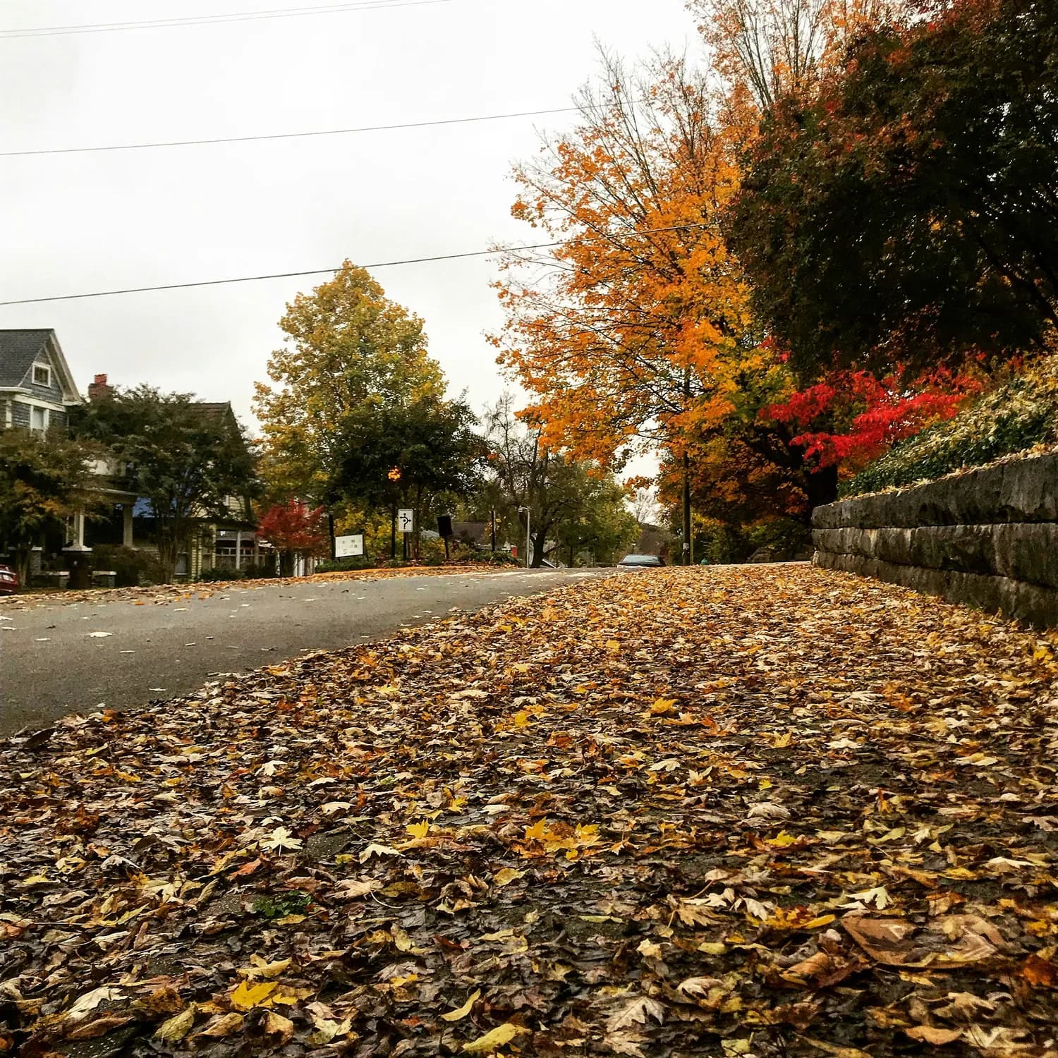 秋冬打卡厦门：鼓浪屿+曾厝垵+环岛路