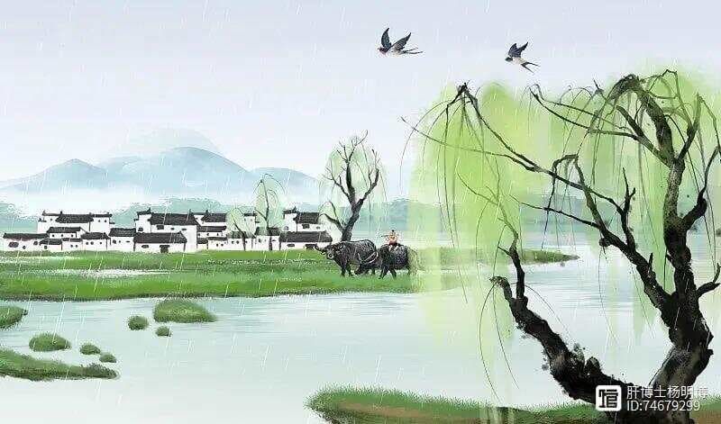 雨水节气养肝：顺应天时，调养身心