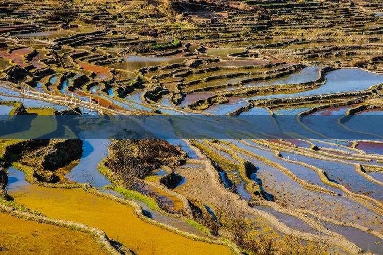 探秘新疆博尔塔拉：塞外江南的自然人文美景