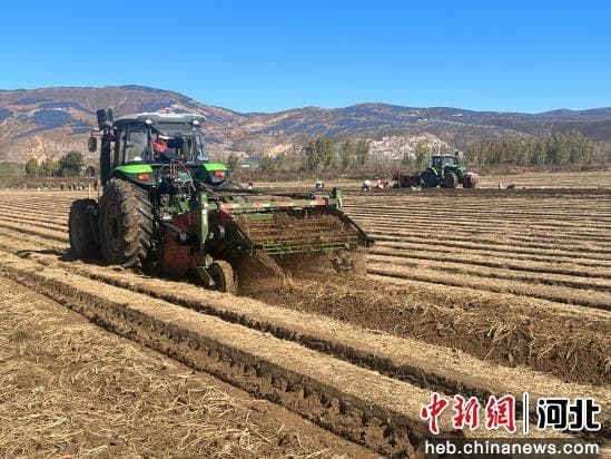 河北围场：发展特色产业 助推乡村振兴