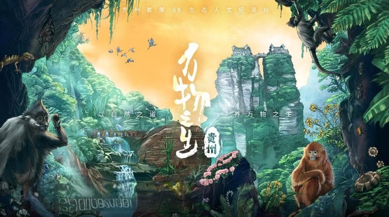 8K纪录片《万物之生·贵州篇》创新央视收视纪录