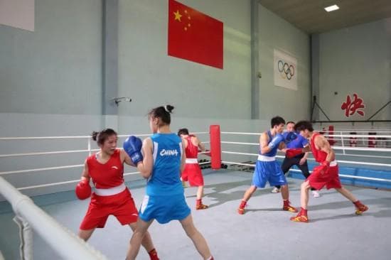 拳击运动正“热辣滚烫”！贾玲拳击私教，是杨浦的这位教授→