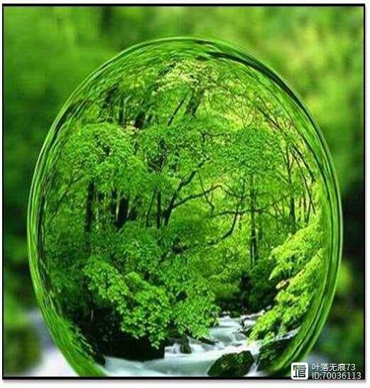 《道德经》第42章：道生万物，损益相生