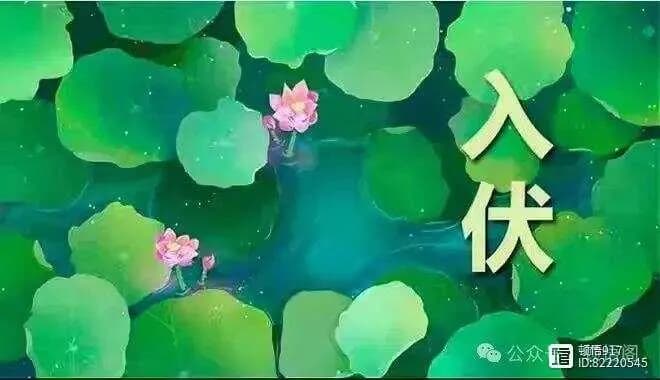 三伏知识 | 什么叫三伏天？有何来历？气侯特点如何？有哪些习俗与禁忌？