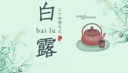 白露节气的气候特点与农事活动