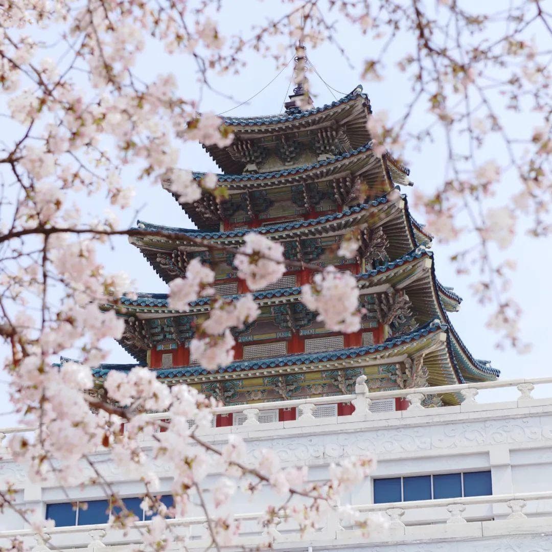 韩国首尔旅游指南：首次去 韩国首尔旅行的必备攻略