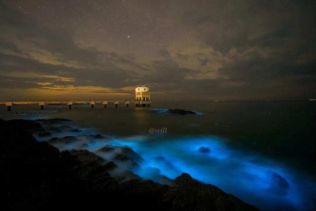 “我在文昌抱虎角，拍到了‘蓝眼泪’和星空同框”