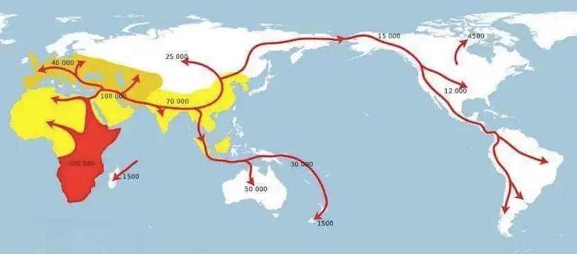 人类只用百万年就进化出了智慧，为何恐龙上亿年都没进化出智慧？
