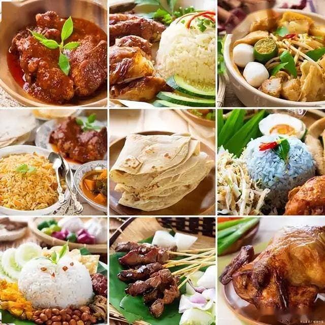 大白菜的多样烹饪方法推荐与分享