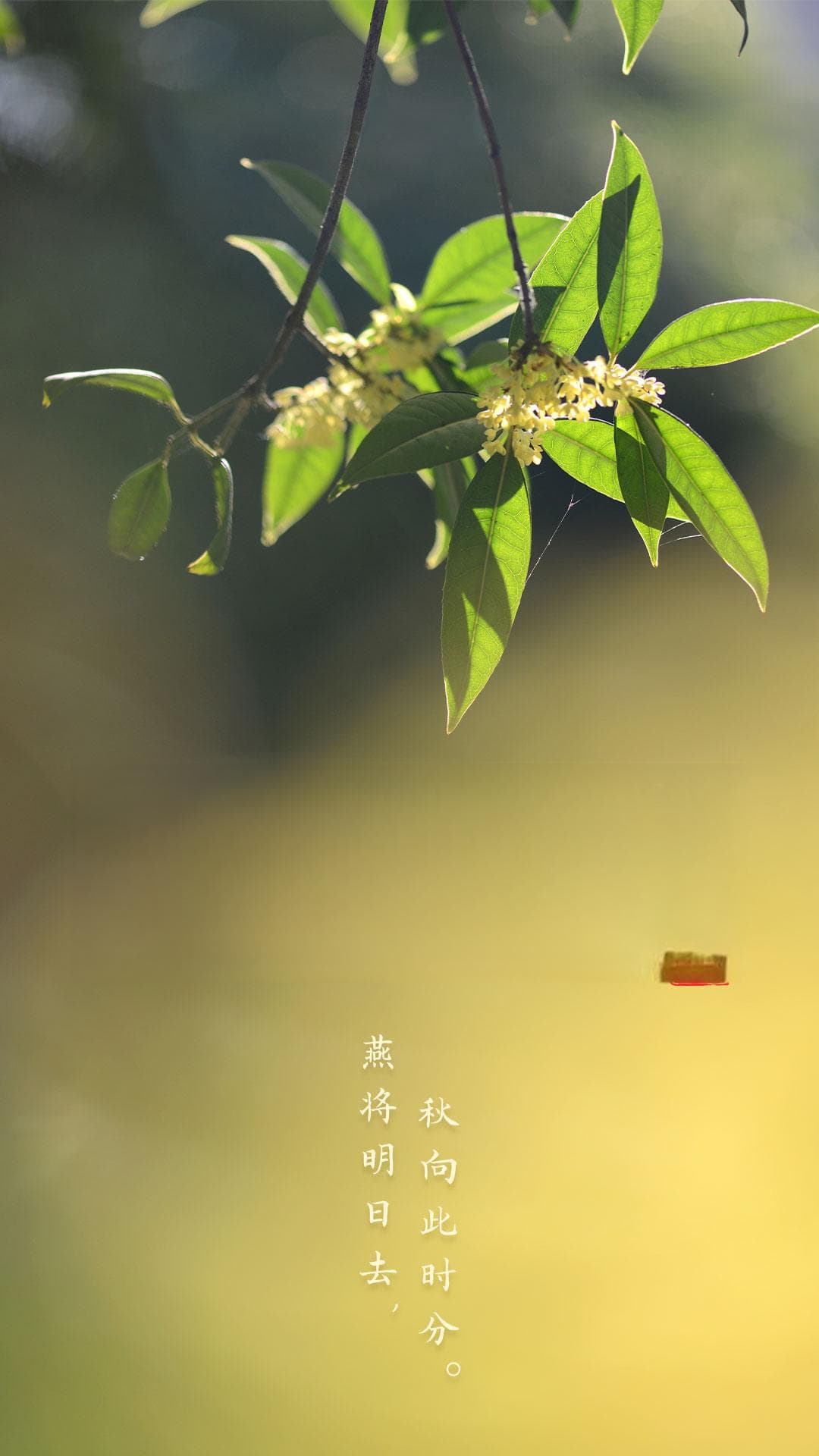 节韵汇丨又是一年好“丰”景 秋分吃什么最养人？