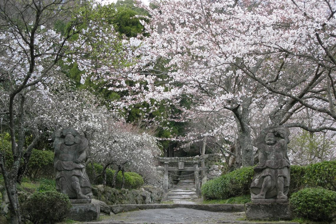 康养旅行在亚洲 山海疗愈身心灵