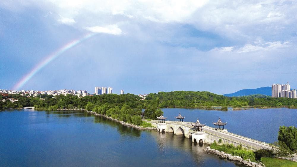 重塑“南湖美” 打造“效益湖” ——南湖新区推动水环境治理见实效