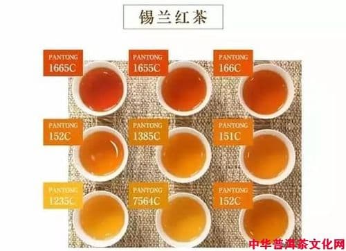 红茶与普洱茶的区别及分辨方法详解