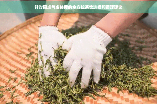 针对阳虚气虚体质的全方位茶饮选择和调理建议